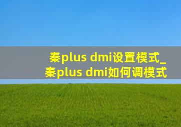 秦plus dmi设置模式_秦plus dmi如何调模式